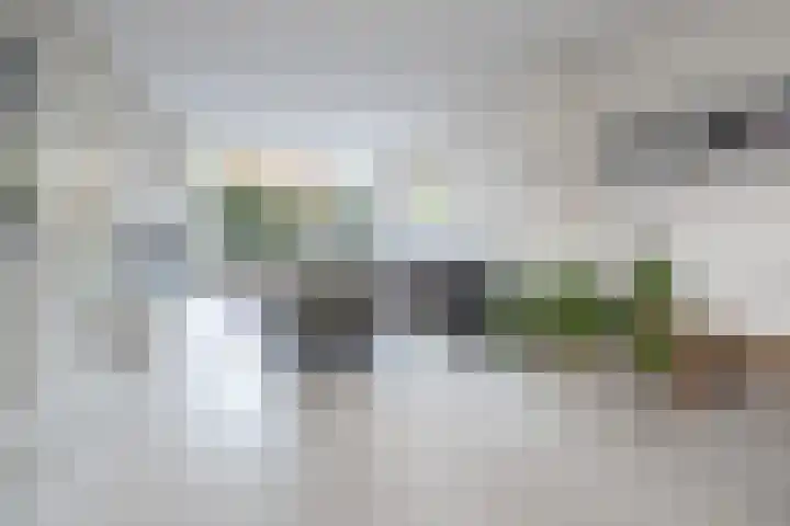 Tuilland 11 Doorn thumbnail 6