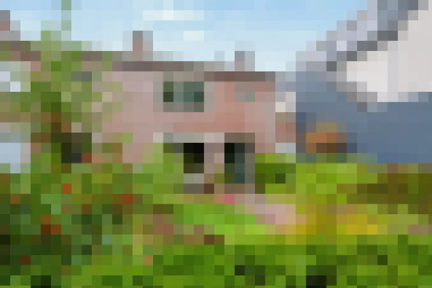 Tuilland 2 b Doorn thumbnail 33