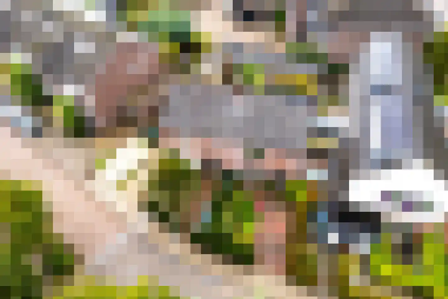 Tuilland 2 b Doorn thumbnail 36