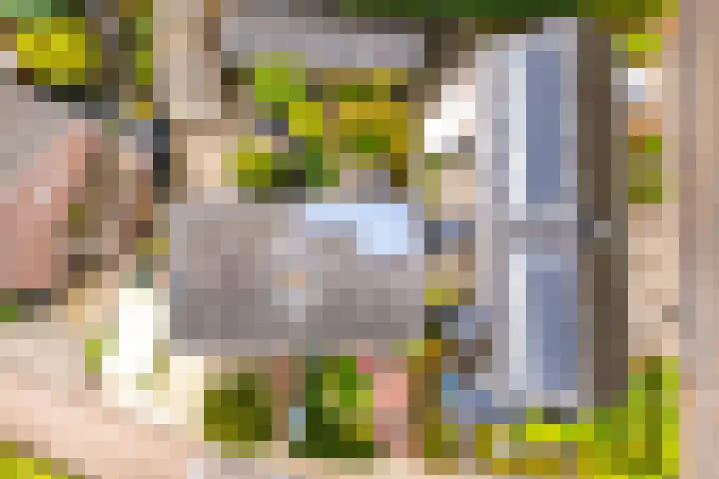 Tuilland 2 b Doorn thumbnail 39