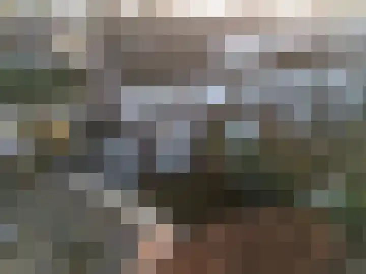 Tuilland 2 Doorn thumbnail 28