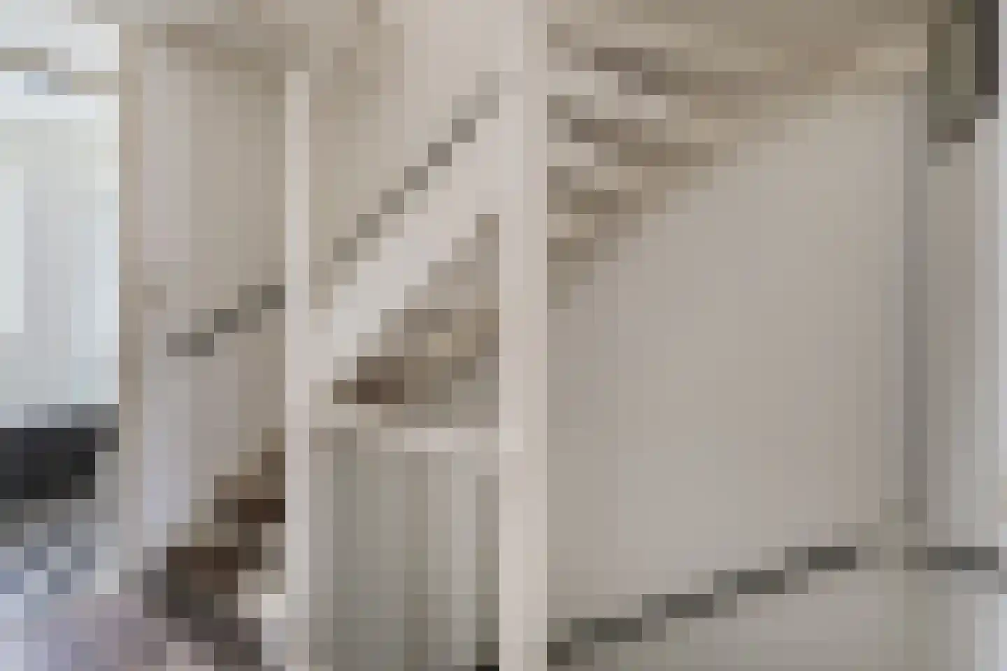 Tuilseveldweg 2 Tuil thumbnail 21