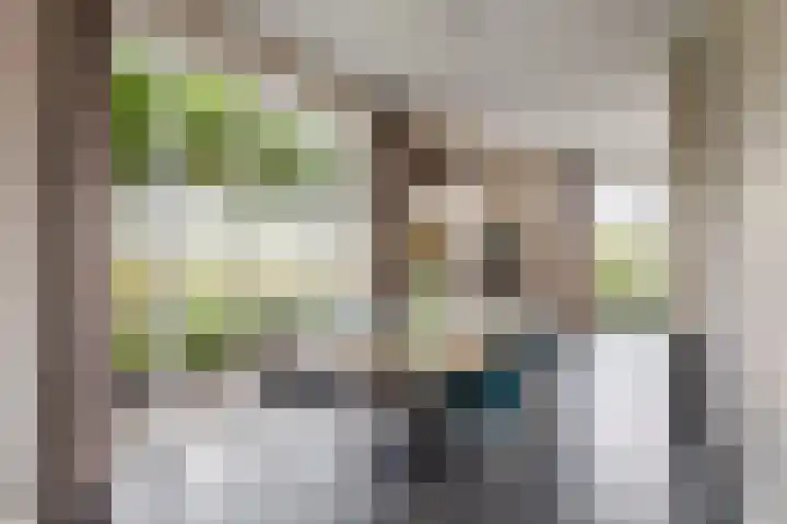 Tuilseveldweg 20 Tuil thumbnail 11