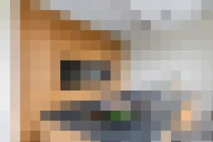 Tuilseveldweg 20 Tuil thumbnail 12