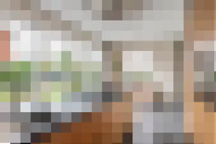 Tuilseveldweg 20 Tuil thumbnail 14