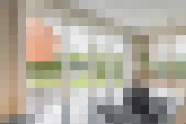 Tuilseveldweg 20 Tuil thumbnail 15
