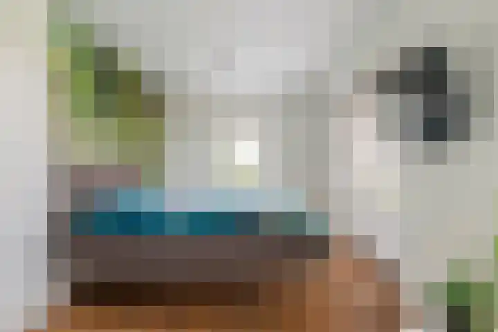 Tuilseveldweg 20 Tuil thumbnail 19
