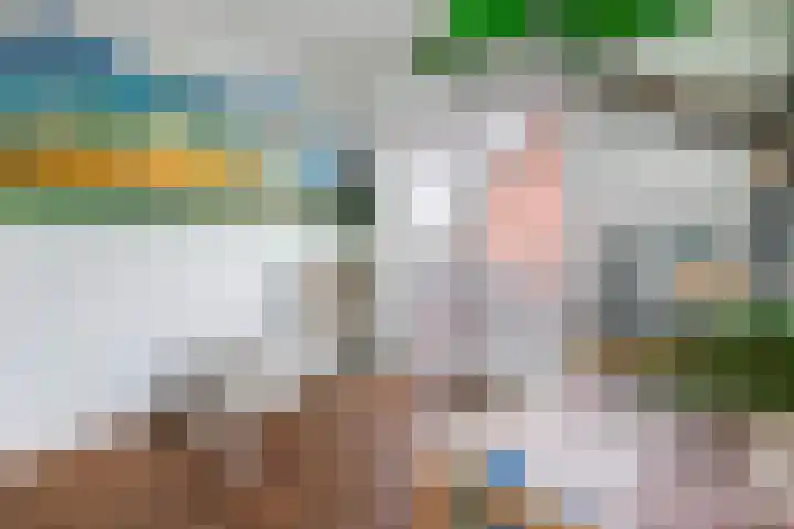 Tuilseveldweg 20 Tuil thumbnail 23