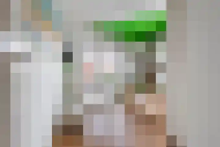 Tuilseveldweg 20 Tuil thumbnail 24