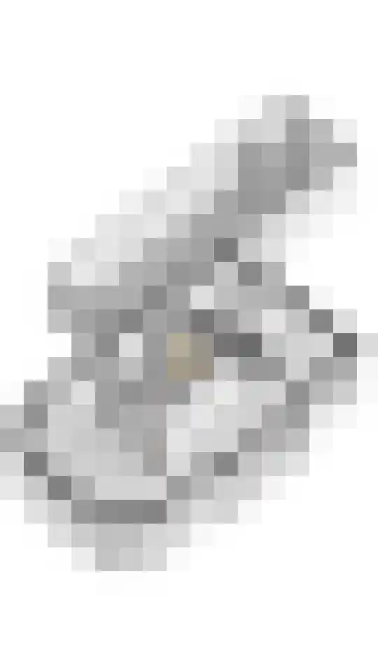 Tuilseveldweg 20 Tuil thumbnail 40