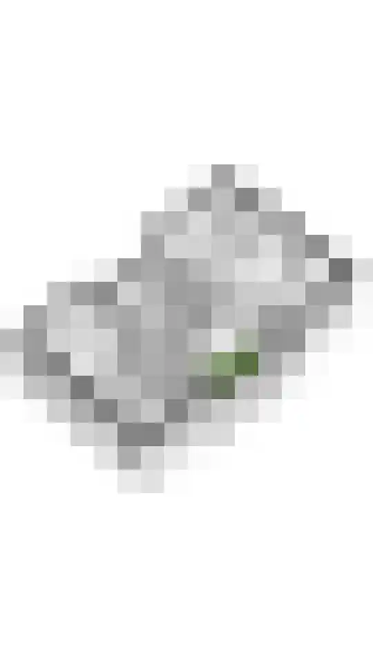Tuilseveldweg 20 Tuil thumbnail 42