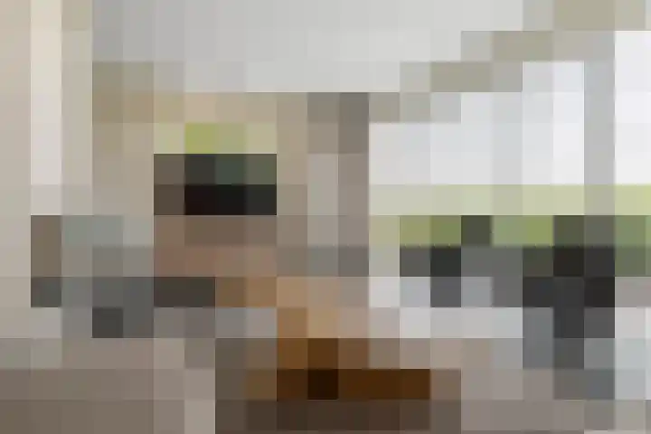 Tuilseveldweg 20 Tuil thumbnail 7
