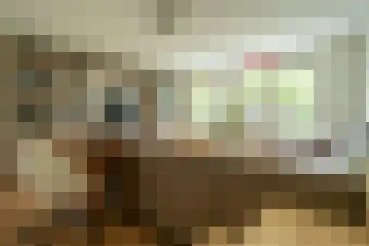 Tuilseveldweg 21 Tuil thumbnail 18