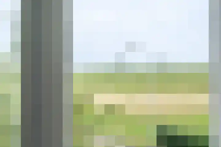 Tuilseveldweg 21 Tuil thumbnail 32