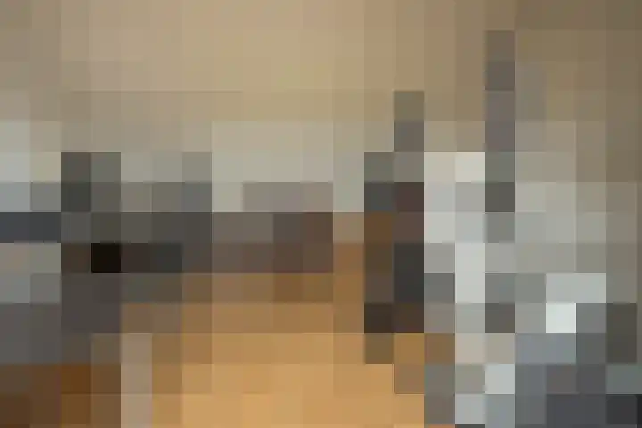 Tuilseveldweg 21 Tuil thumbnail 36