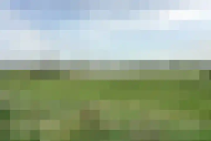 Tuilseveldweg 21 Tuil thumbnail 38