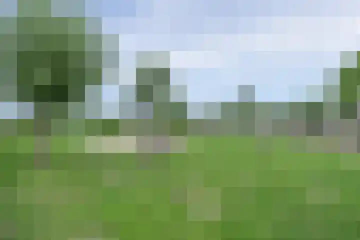 Tuilseveldweg 21 Tuil thumbnail 39