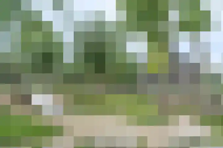 Tuilseveldweg 21 Tuil thumbnail 40