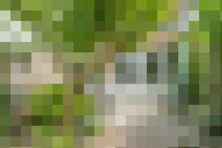 Tuilseveldweg 21 Tuil thumbnail 6