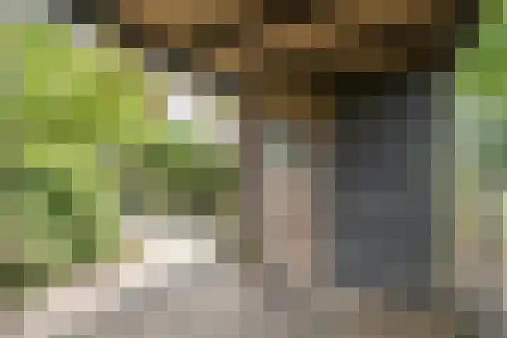 Tuilseveldweg 21 Tuil thumbnail 8