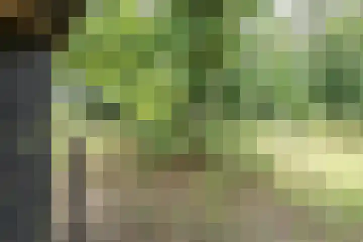 Tuilseveldweg 21 Tuil thumbnail 9