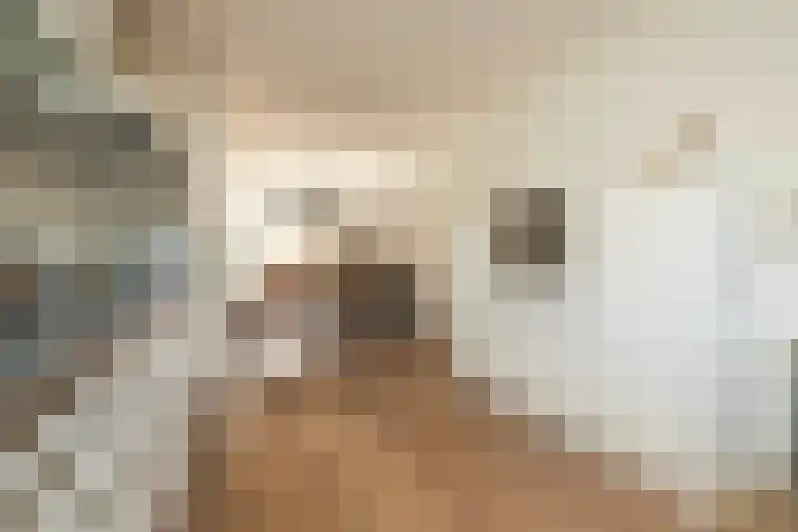 Tuimelaar 14 Naaldwijk thumbnail 10