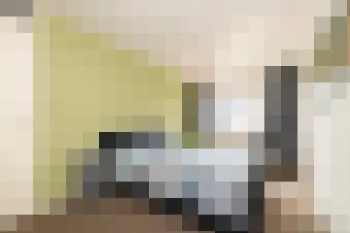 Tuimelaar 14 Naaldwijk thumbnail 15