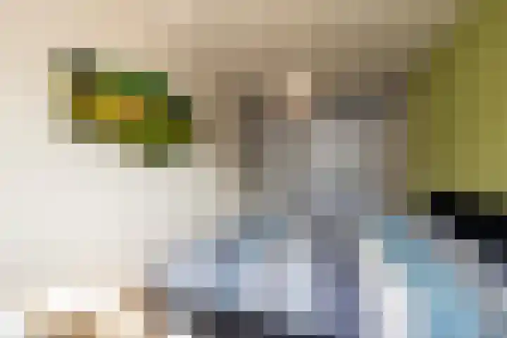 Tuimelaar 14 Naaldwijk thumbnail 16
