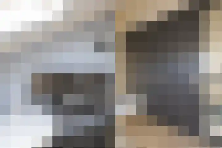Tuimelaar 14 Naaldwijk thumbnail 25