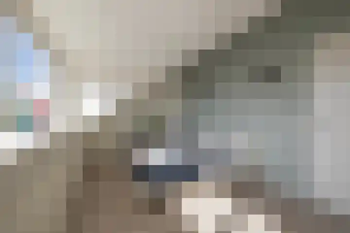 Tuimelaar 14 Naaldwijk thumbnail 27