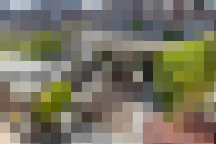 Tuimelaar 14 Naaldwijk thumbnail 28