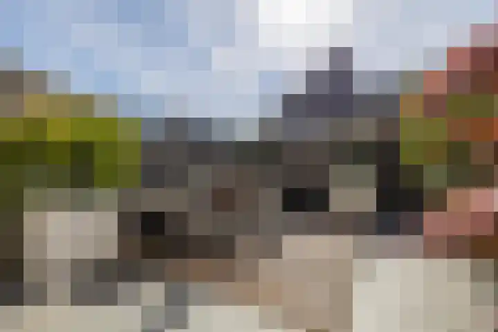 Tuimelaar 14 Naaldwijk thumbnail 29