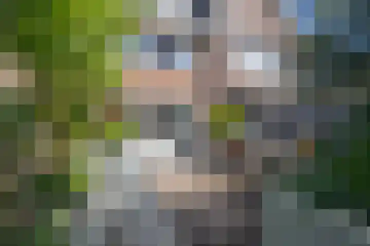 Tuimelaar 14 Naaldwijk thumbnail 30