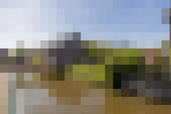 Tuimelaar 14 Naaldwijk thumbnail 31