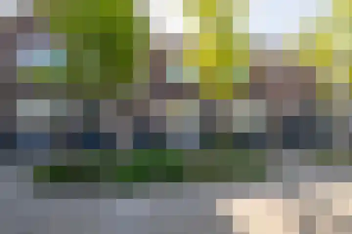 Tuimelaar 14 Naaldwijk thumbnail 33