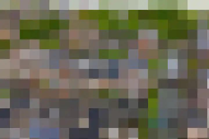 Tuimelaar 14 Naaldwijk thumbnail 35