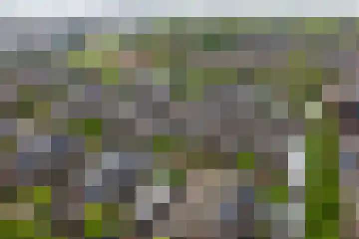Tuimelaar 14 Naaldwijk thumbnail 36