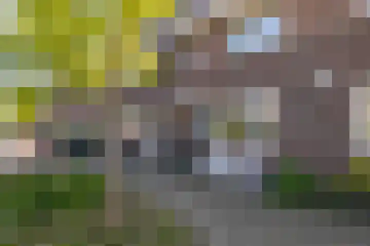 Tuimelaar 14 Naaldwijk thumbnail 5