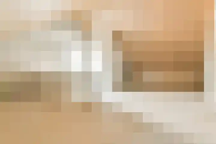 Tuimelaar 41 Heerhugowaard thumbnail 30