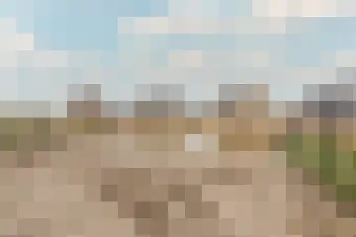 Tuimelaar 41 Heerhugowaard thumbnail 33