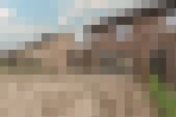 Tuimelaar 41 Heerhugowaard thumbnail 35