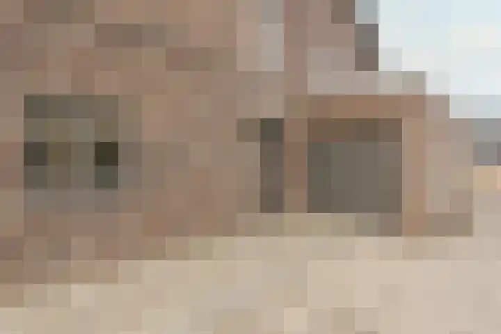 Tuimelaar 41 Heerhugowaard thumbnail 37