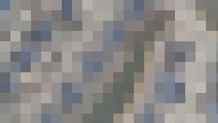 Tuimelaar 41 Heerhugowaard thumbnail 40