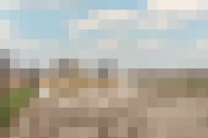 Tuimelaar 41 Heerhugowaard thumbnail 5