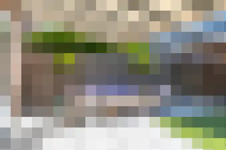Tuimelaar 8 Naaldwijk thumbnail 15
