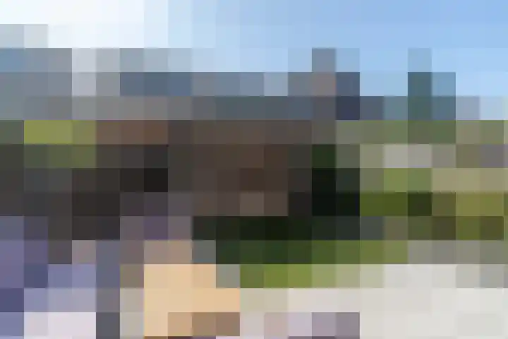Tuimelaar 8 Naaldwijk thumbnail 16
