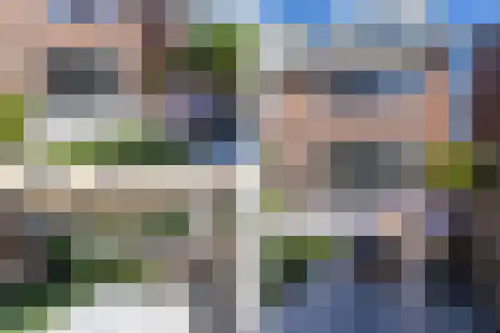Tuimelaar 8 Naaldwijk thumbnail 17