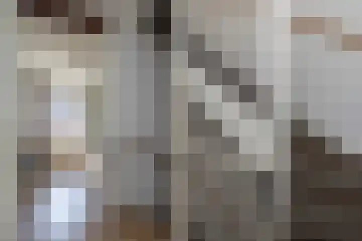 Tuimelaar 8 Naaldwijk thumbnail 26