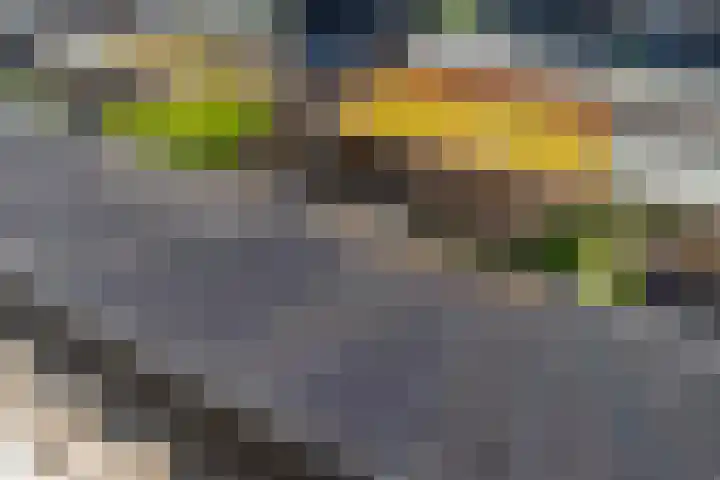 Tuimelaar 8 Naaldwijk thumbnail 31