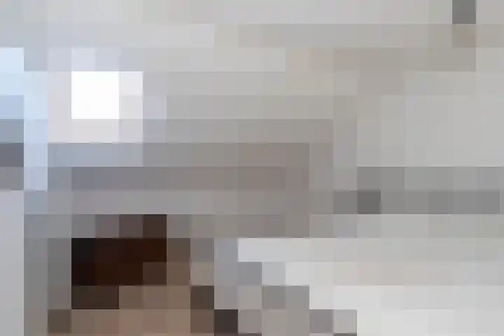 Tuimelaar 8 Naaldwijk thumbnail 34